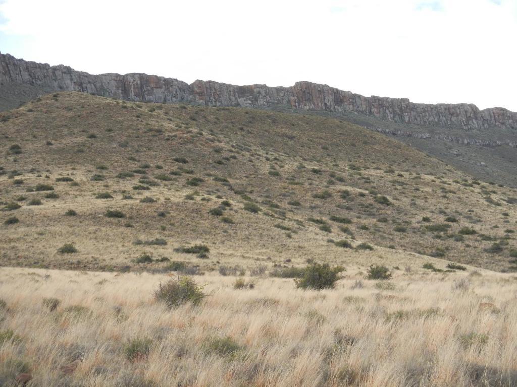 Lemoenfontein Pension Beaufort Wes Buitenkant foto