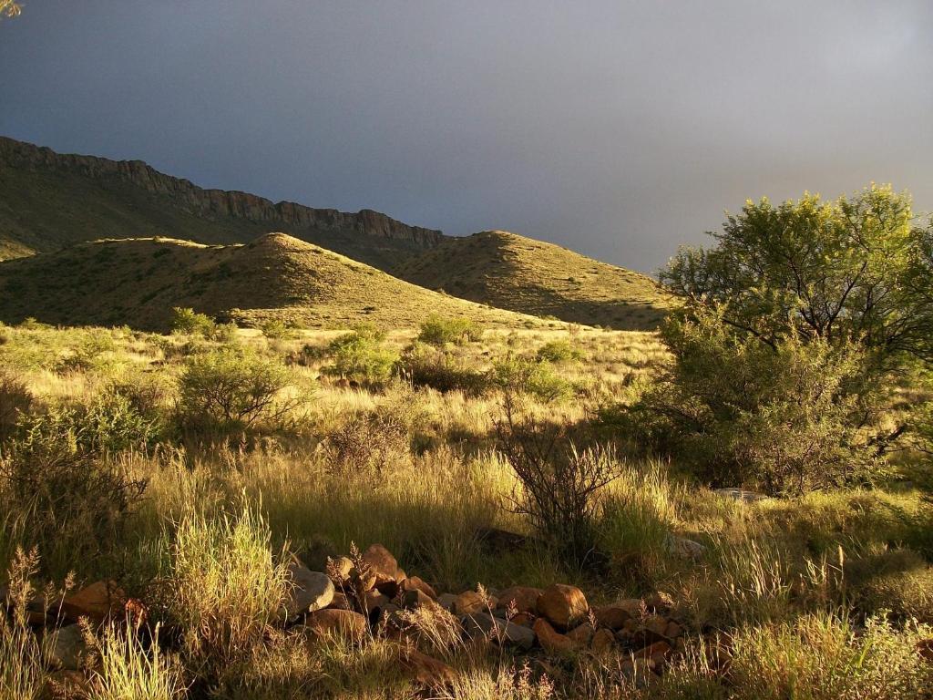 Lemoenfontein Pension Beaufort Wes Buitenkant foto